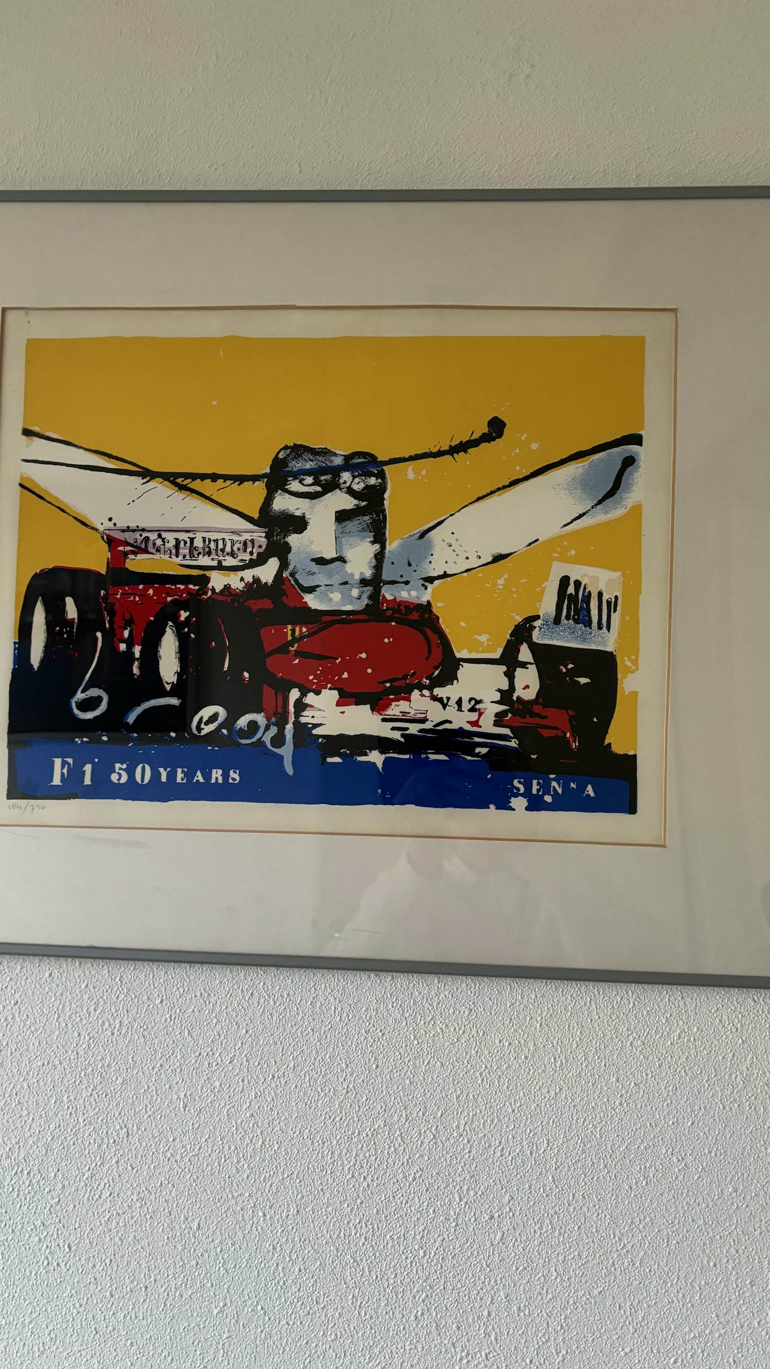 Herman Brood - zeefdruk van Herman Brood ter ere van "F1 50 Years Senna". kopen? Bied vanaf 100!