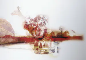 Kim Heesakkers - Foto, Australia - Ingelijst (Groot) kopen? Bied vanaf 50!