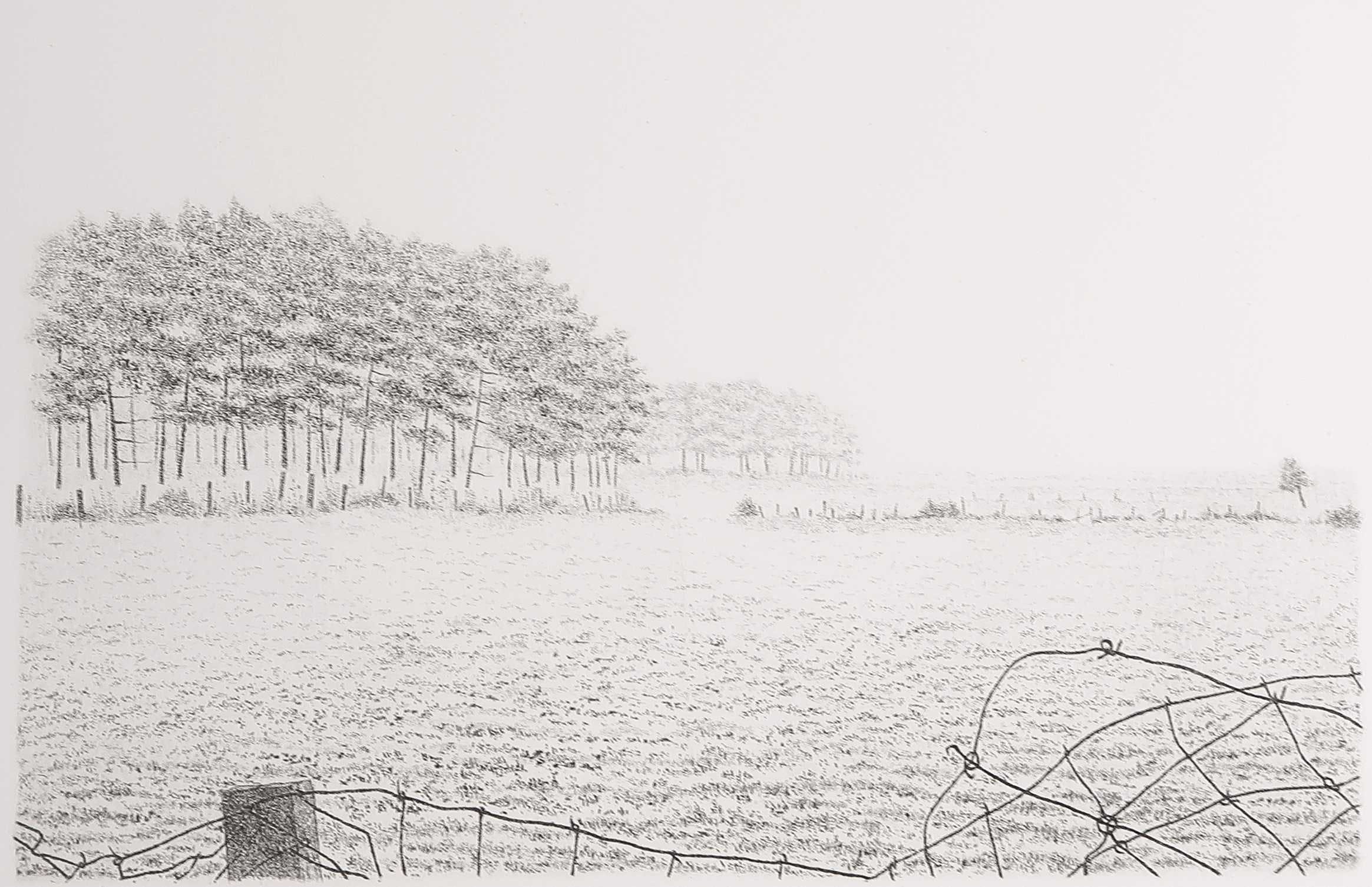 Jan van Winkel - Ets, Ingesloten uitgestrektheid kopen? Bied vanaf 1!