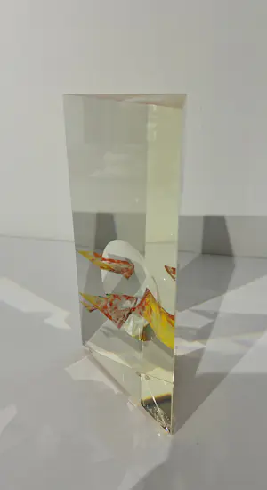 Andrej Jakab - " Dragonfly " Unique kopen? Bied vanaf 1200!