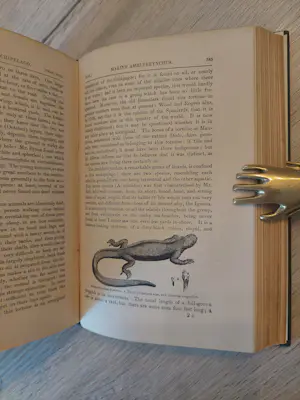 Antiquarisch Boek - Charles Darwin - A naturalist's voyage, Journal of researches 1870 (2nd Edition) kopen? Bied vanaf 150!