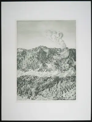 Rins Heidema - Ets, Aeroliet kopen? Bied vanaf 1!