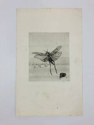 Marijke Hertog - libelle (gedrukt in 't drukhuis) kopen? Bied vanaf 45!