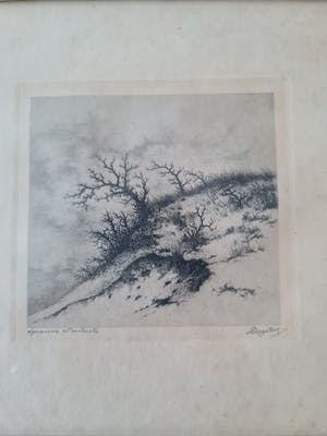 Dirk Harting - Duinlandschap - épreuve d’artiste kopen? Bied vanaf 25!