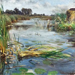 Willem Roelofs (jr.) - Gezicht op water met riet kopen? Bied vanaf 400!