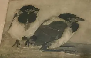 Jan Mankes - Twee jonge eksters kopen? Bied vanaf 185!