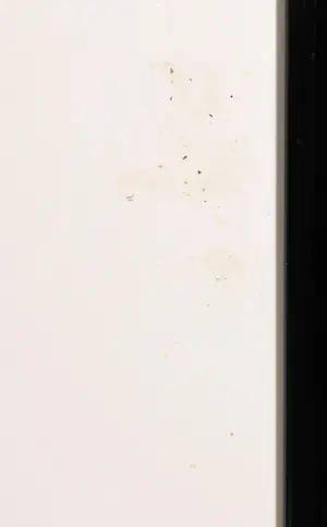 Carlos Blaaker - Acryl op papier, Panters - Ingelijst (Groot) kopen? Bied vanaf 100!