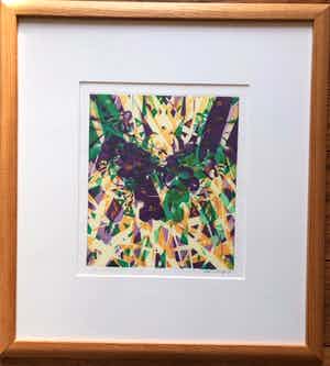 Hans van Liempt - Herinnering aan een etspers verkocht voor € 55!