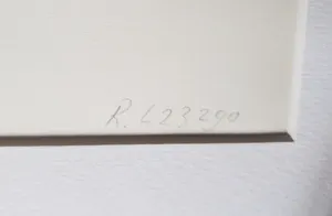 Rik van Iersel - Nacht Ontmoeting - HC editie kopen? Bied vanaf 1!