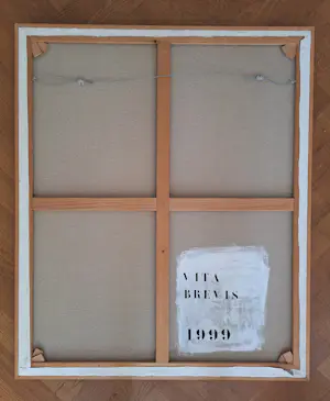 Ellen Baptist - VITA BREVIS kopen? Bied vanaf 50!