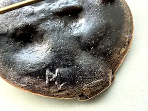 Harrie Lenferink - Prachtige oude broche Harrie Lenferink 1933 = gesigneerd. kopen? Bied vanaf 85!