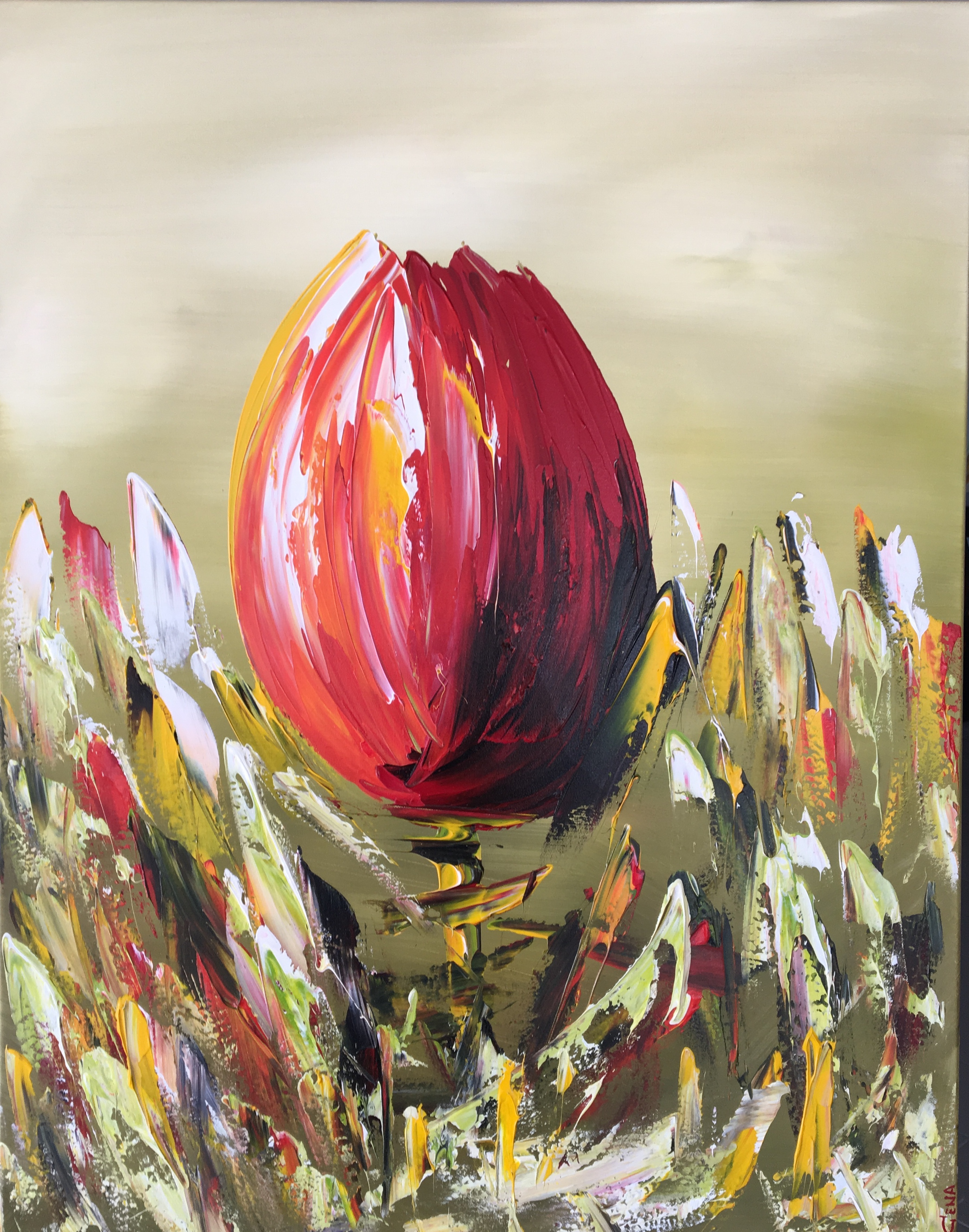 Gena Genadyj - Fantasie tulp kopen? Bied vanaf 1!