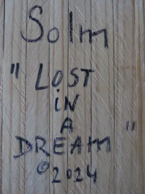 Eric van Solm - 'Lost in a dream" kopen? Bied vanaf 460!