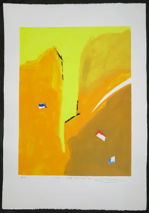 Gerard Bijnens - Zeefdruk, Tekens in tijdloze kleurvelden kopen? Bied vanaf 1!