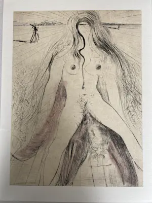 Salvador Dali - 12 stuks litho Venus aux Fourrures kopen? Bied vanaf 185!