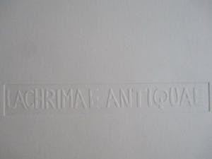 Willem Snitker - Ets "Lacrimae Antiquae" kleine oplage kopen? Bied vanaf 45!