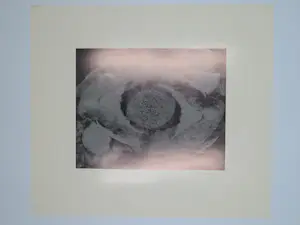 Georg Muche - Nemisee, Auge der Diana kopen? Bied vanaf 30!