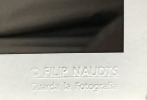 Filip Naudts - Sandrine, uit de reeks 'Rendez-Vous' kopen? Bied vanaf 85!