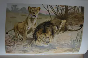 Antiquarisch Boek - The Royal Natural History (6 delen compleet) 1893 kopen? Bied vanaf 175!