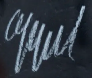 Karel Appel - Ingelijste houtgravure uit de circusserie (nette lijst!) - 1978 kopen? Bied vanaf 1850!