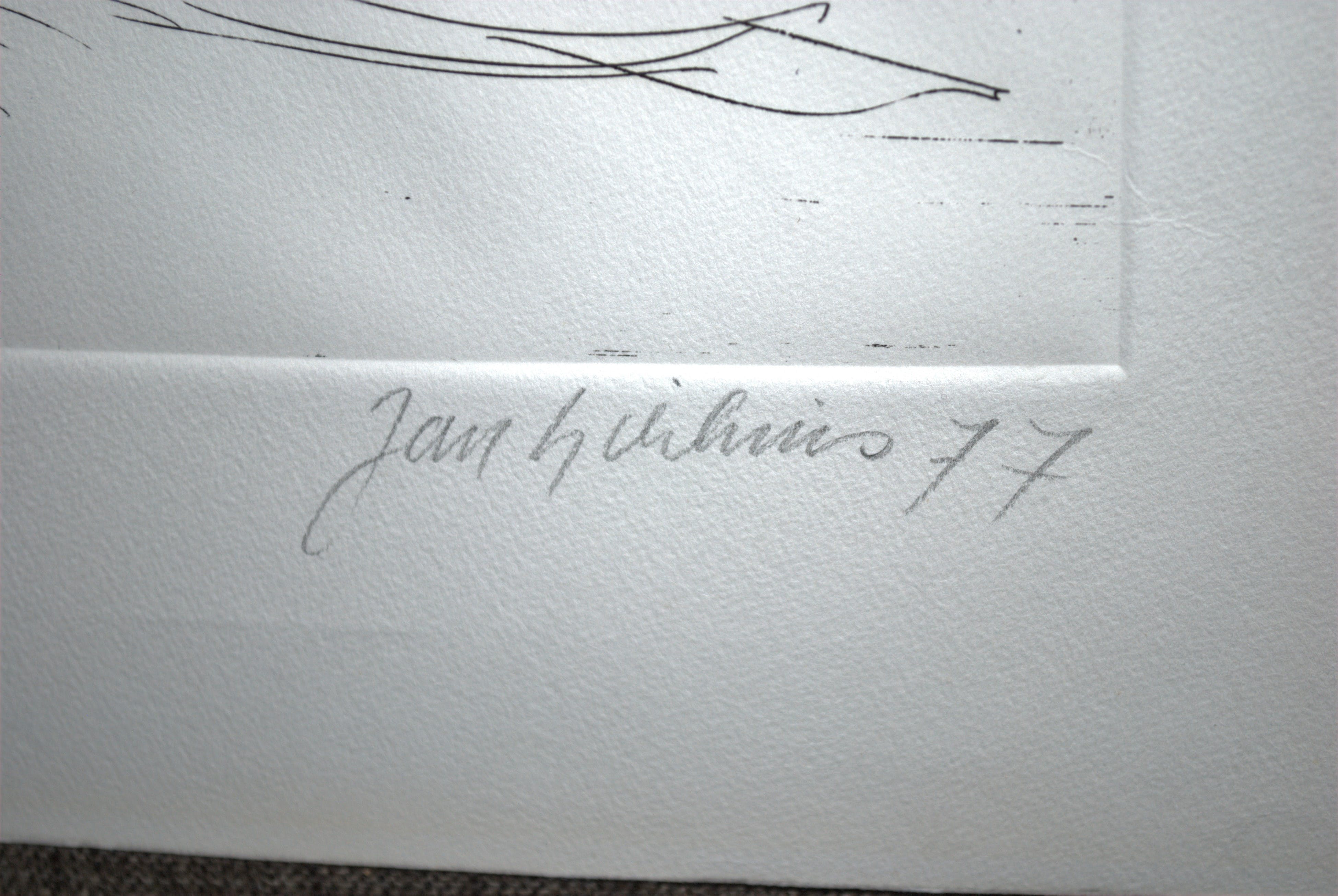 Jan Sierhuis - grote ets - ruiter  kopen? Bied vanaf 35!