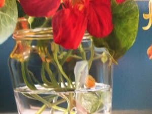 Tjalf Sparnaay - Oost-Indische kers. kopen? Bied vanaf 3500!