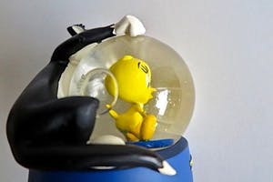 Curiosa - Warner Bros - Snowglobe "Tweety en Silvester" - Leuk Kerst item kopen? Bied vanaf 1!