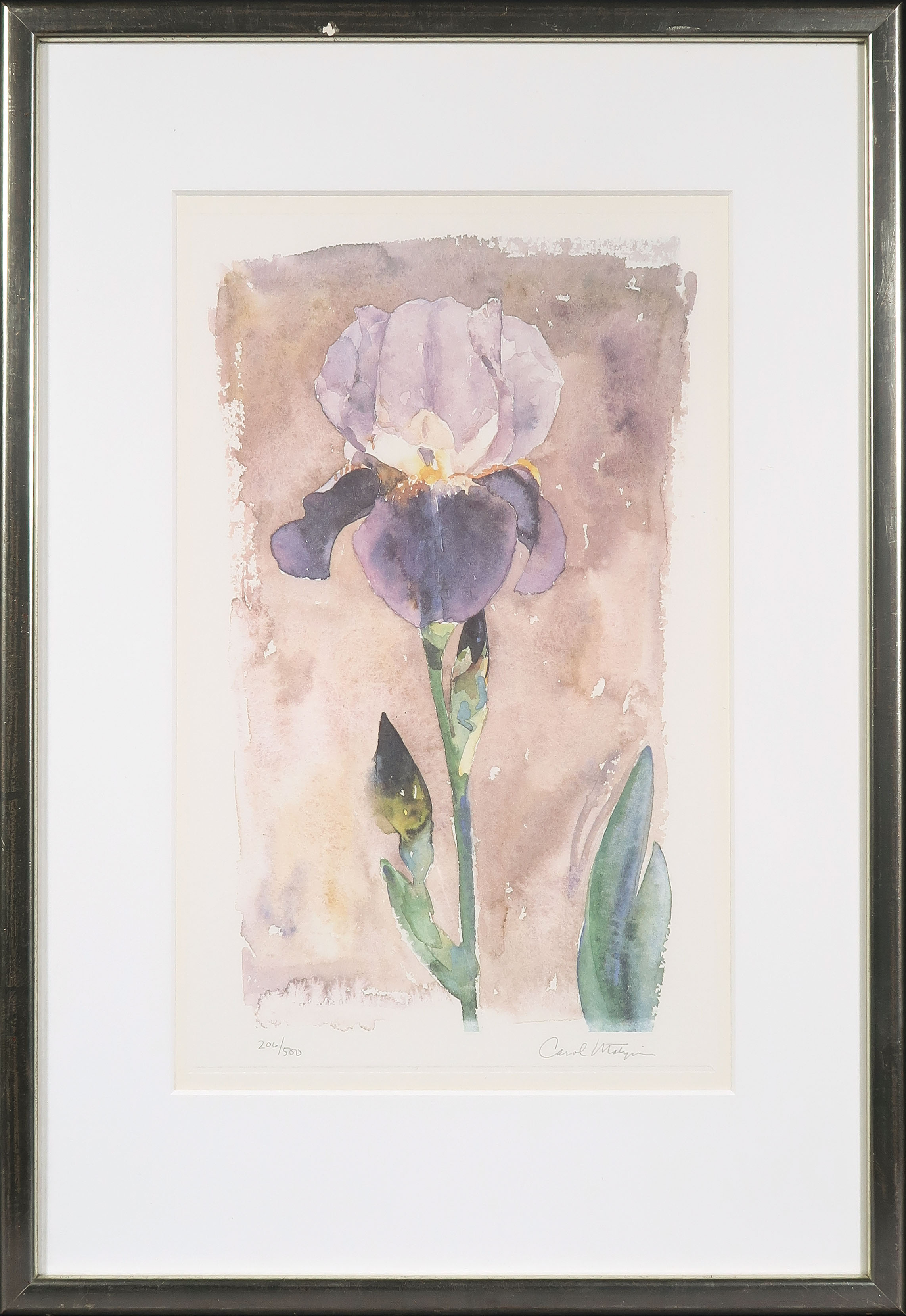 Carol Martijn - Zeefdruk, Iris - Ingelijst verkocht voor € 35!