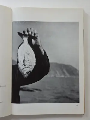 Emmy Andriesse - Beeldroman. Ism JB Charles. kopen? Bied vanaf 20!