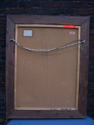 Anita van der Weg - Gladiolen kopen? Bied vanaf 75!