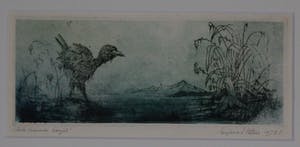 Eugene Peters - Een vreemde vogel kopen? Bied vanaf 10!