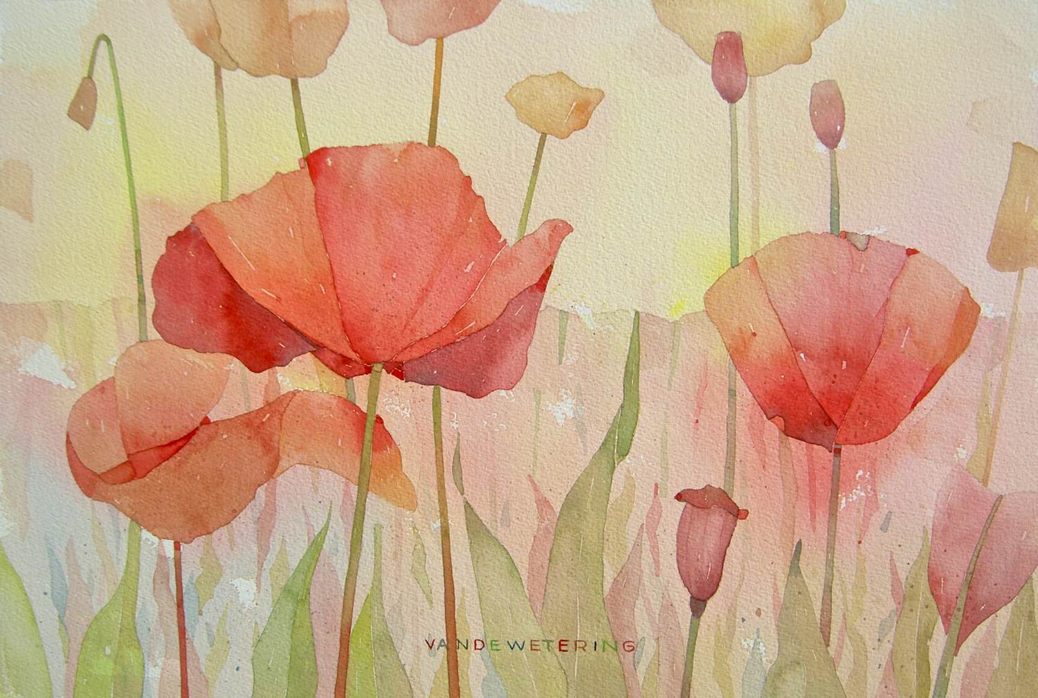 Kees van de Wetering - Klaprozen 1 kopen? Bied vanaf 225!