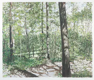 Karin Elfrink - Zeefdruk, Bomen Bos Koningsduin - Ingelijst kopen? Bied vanaf 50!