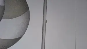 Marinus Fuit - Ballonnen tegen plankier kopen? Bied vanaf 55!