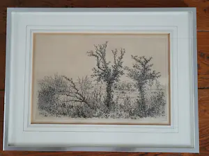 Willem Minderman - "Ierland". kopen? Bied vanaf 49!