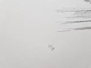 Metten Koornstra - 1964 - karakteristieke & grote Litho "man en hond op perron" gesigneerd kopen? Bied vanaf 1!