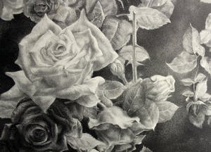 Aart van Dobbenburgh - Rozen in de nacht 1/25 kopen? Bied vanaf 55!