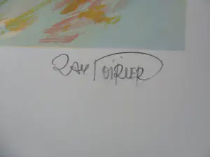 Ray Poirier - PROVENCE / KLEURLITHO / 76x56cm / kopen? Bied vanaf 35!