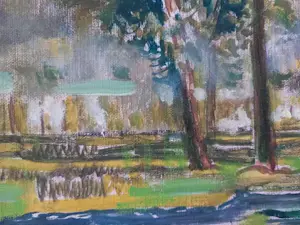 Prins Karel Van Vlaanderen - Weide in Limburg kopen? Bied vanaf 200!