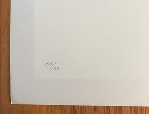Niet of onleesbaar gesigneerd - Gesigneerde zeefdruk - 1974 - 144/150 - Zelden aangeboden! kopen? Bied vanaf 1!