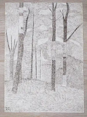 Dirk Arnoldus Tavenraat - Twee pointillistische bosgezichten - Inkttekeningen kopen? Bied vanaf 45!