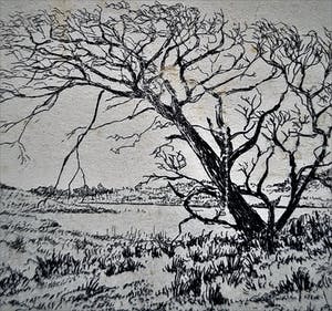 Wim van der Meij - Mooie Ets - uniek e.a. exemplaar - "landschap" - potloodgesigneerd kopen? Bied vanaf 21!