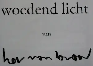 Herman Brood - Boek. Woedend licht, incl. zeefdruk - 2000. kopen? Bied vanaf 100!