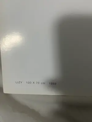 Sam Dillemans - Derde Lizy kopen? Bied vanaf 60!