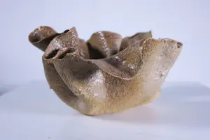 Rob Lucassen - Keramiek, Schaal kopen? Bied vanaf 30!