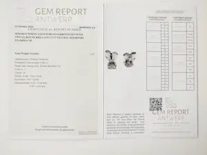 Diamanten oorknopjes 0,86 ct kopen? Bied vanaf 825!