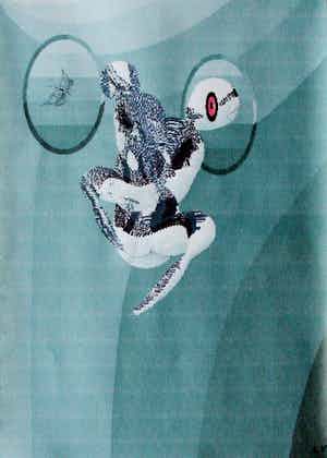 Leo Vroman - Offset print: Fig 12 verkocht voor € 49!