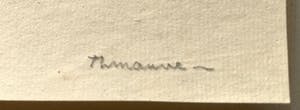 Thijs Mauve - De Dierenoorlog - handgesigneerd kopen? Bied vanaf 30!