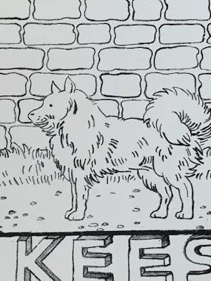 Reinier Lucassen - Leesplank Aap - Noot - Mies kopen? Bied vanaf 79!