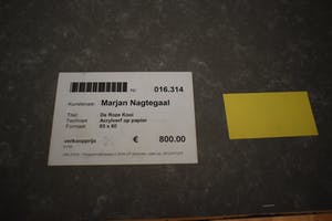 Marjan Nagtegaal - Acryl op paneel, De Roze Kooi - Ingelijst kopen? Bied vanaf 1!